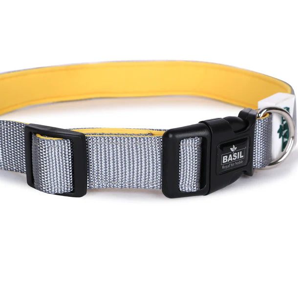 Basil Padded Adjustable Collar for Puppy / Dogs - Grey