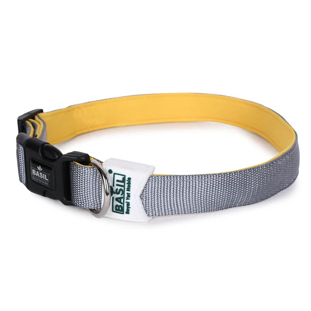 Basil Padded Adjustable Collar for Puppy / Dogs - Grey