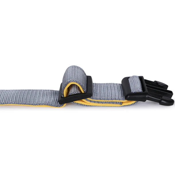Basil Padded Adjustable Collar for Puppy / Dogs - Grey