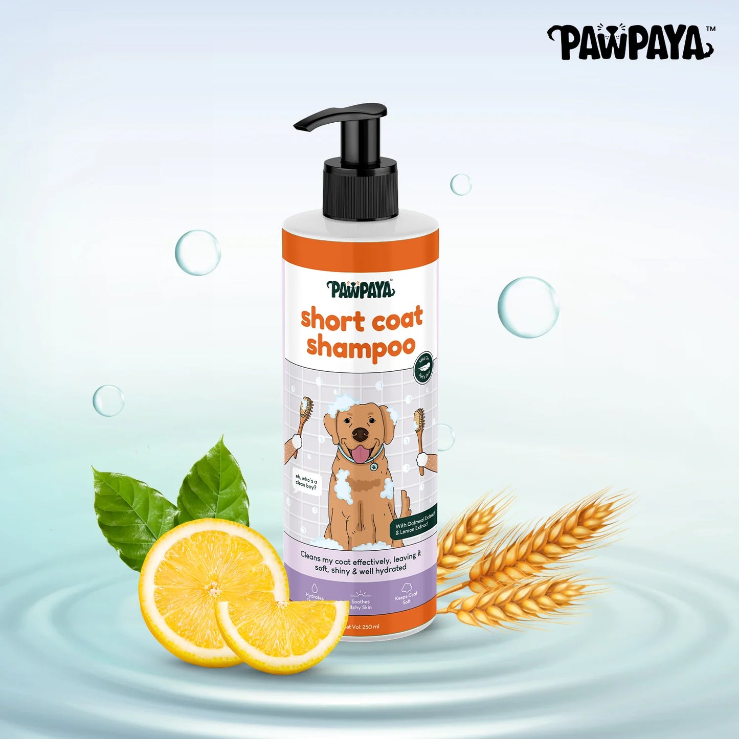 Pawpaya Short Coat Shampoo for Dogs 250 ml