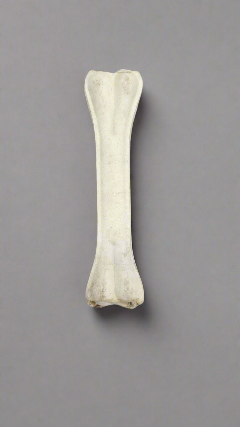 Rawhide Tough Chew Bones for Puppies & Dogs 8 inch - 1 pc