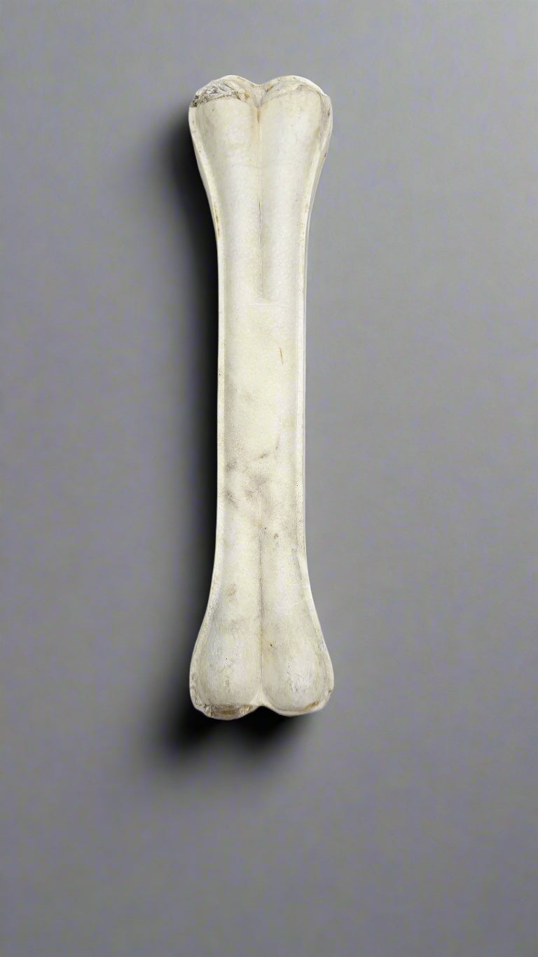 Rawhide Tough Chew Bones for Puppies & Dogs 10 inch - 1 pc