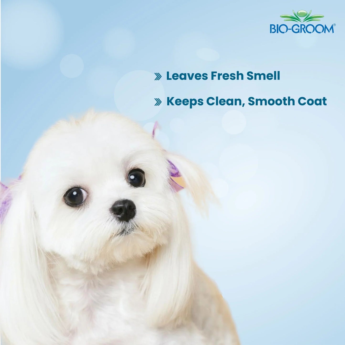 Bio-Groom Super White Coat Brightener Dog Shampoo (355 ML)