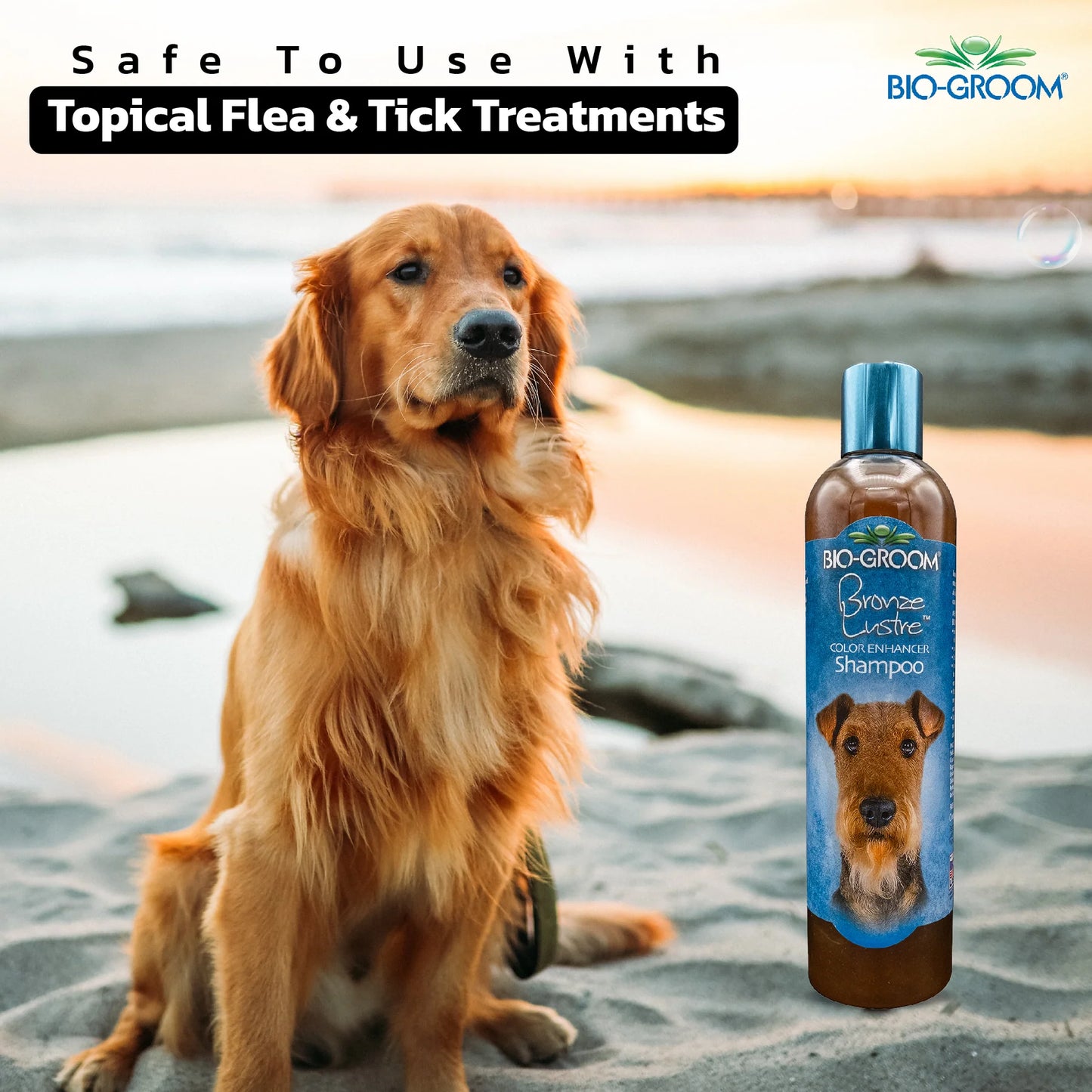 Bio-Groom Bronze Lustre Color Enhancing Dog Shampoo (355 ML)