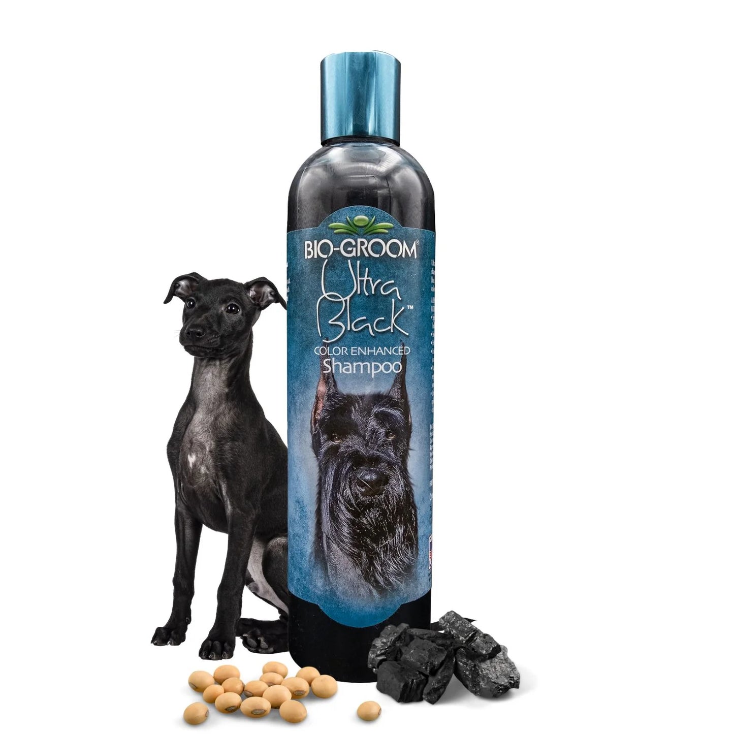 Bio-Groom Ultra Black Color Enhancing Dog Shampoo (355 ML)