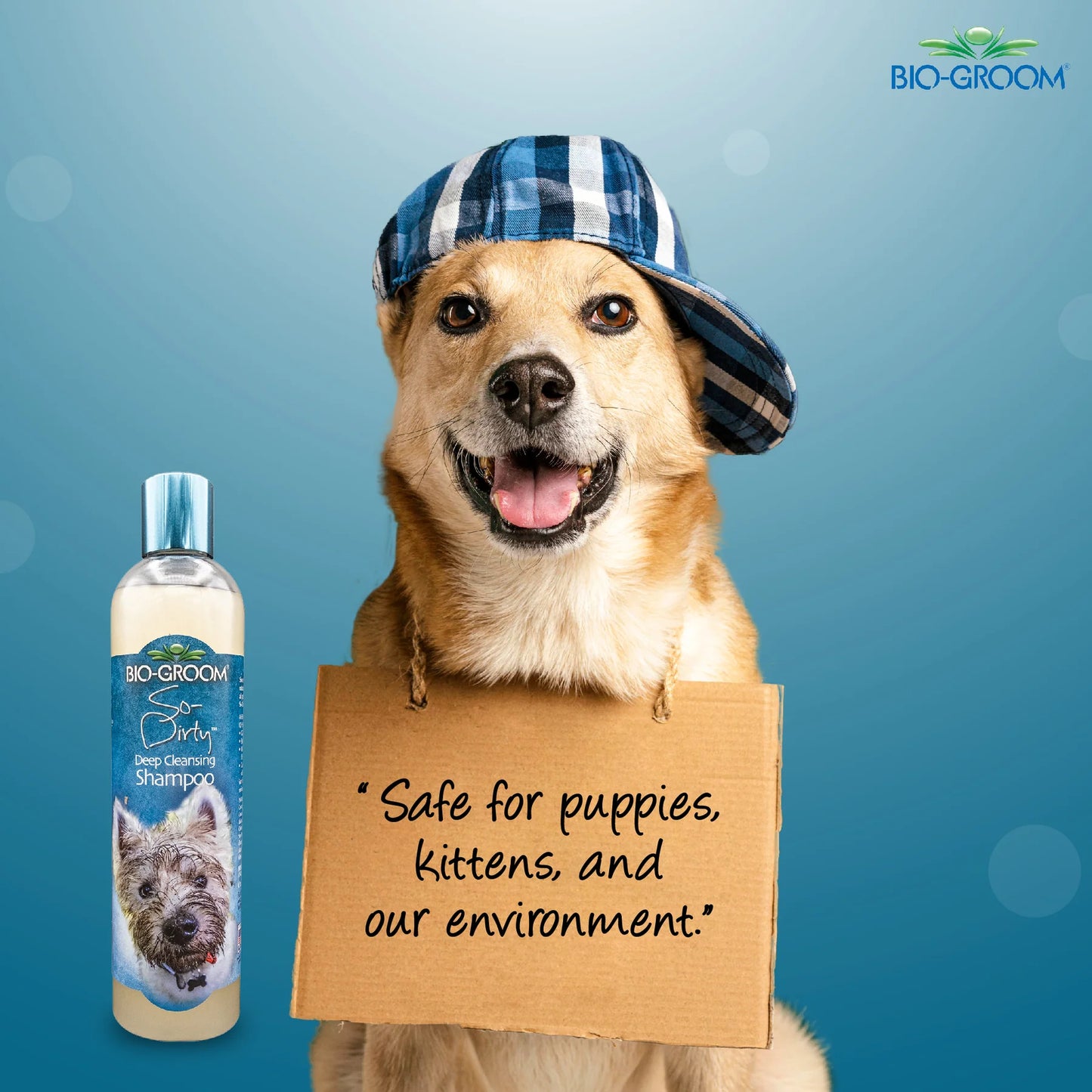 Bio-Groom So-Dirty Deep Cleansing Dog Shampoo (355 ML)