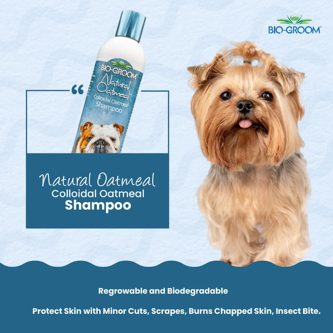 Bio-Groom Natural Oatmeal Colloidal Anti-Itch Dog Shampoo (355 ML)