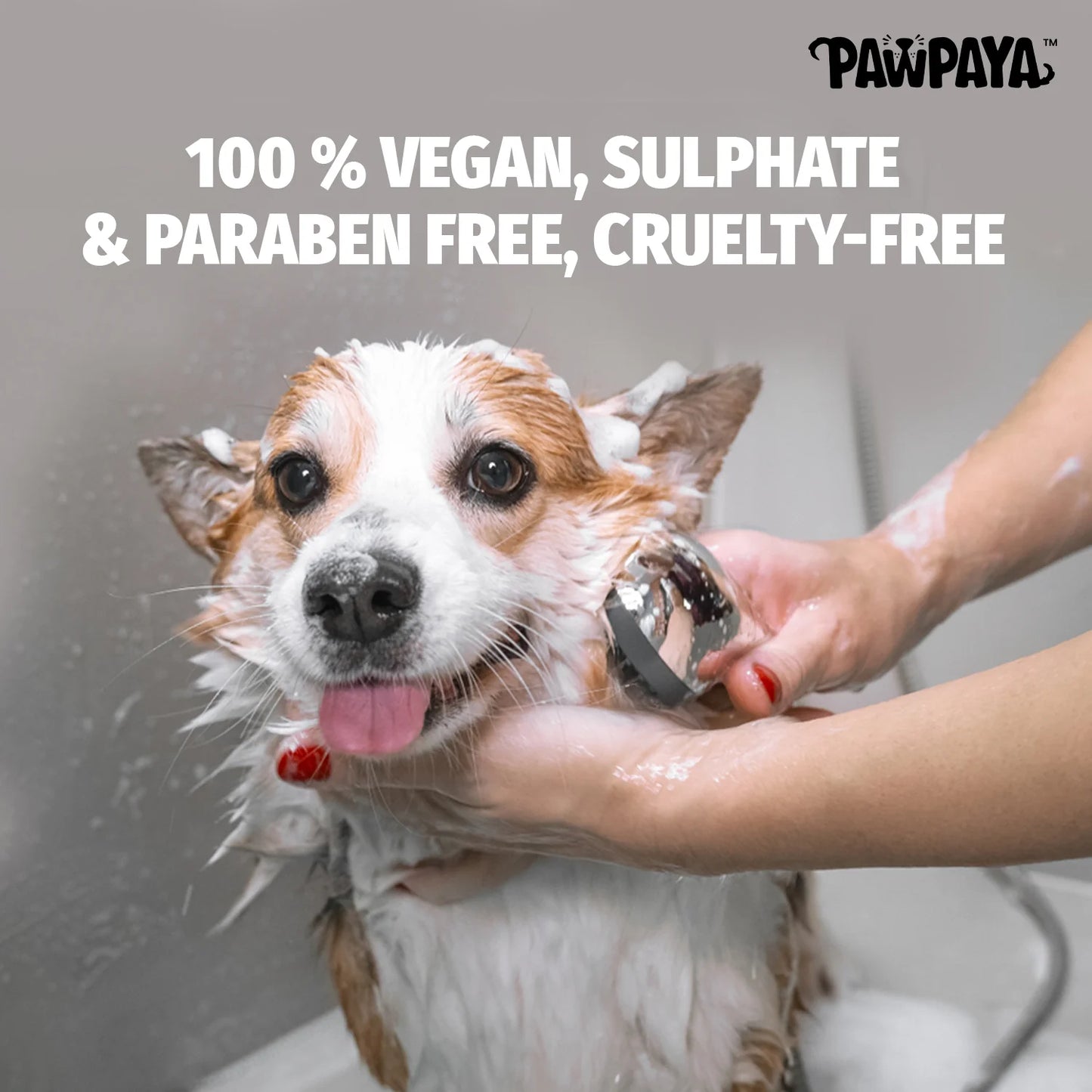 Pawpaya Long Coat Shampoo for Dogs 250 ml