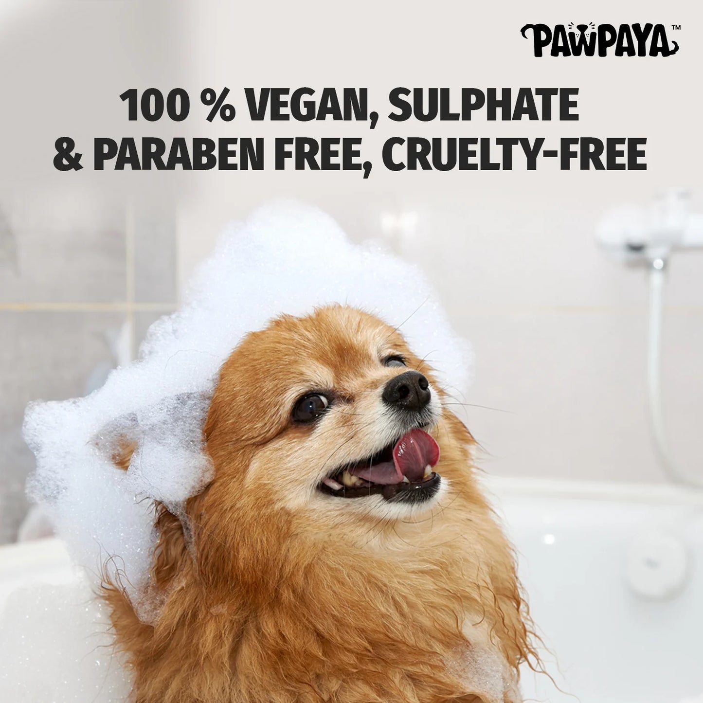 Pawpaya Short Coat Shampoo for Dogs 250 ml