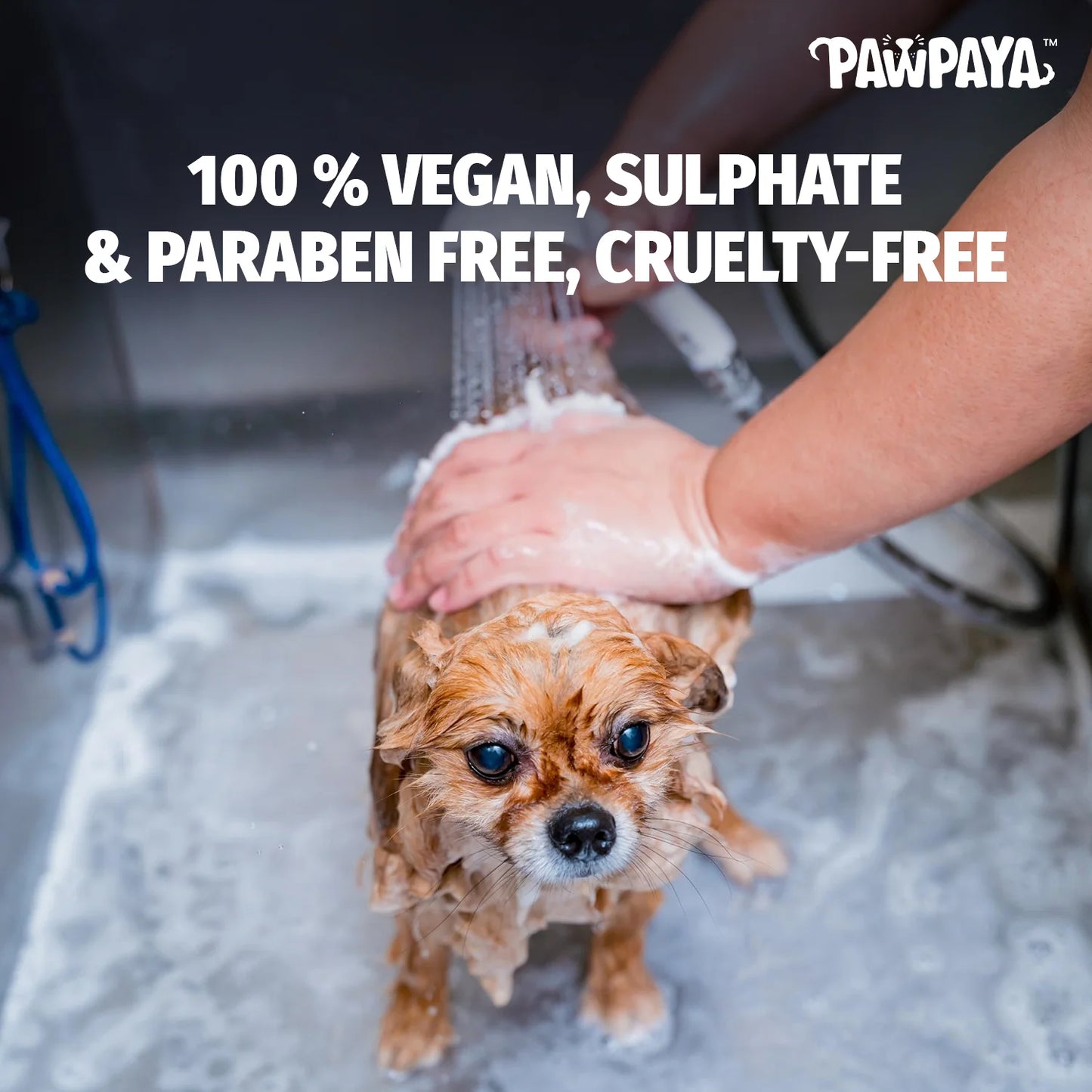 Pawpaya Whitening Shampoo for Dogs 250 ml