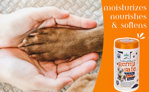 Basil Germisafe Pet Wipes for Dogs, 50 Wipes with Added Neem, Lemon and Lavender Oil for Dogs & Cats