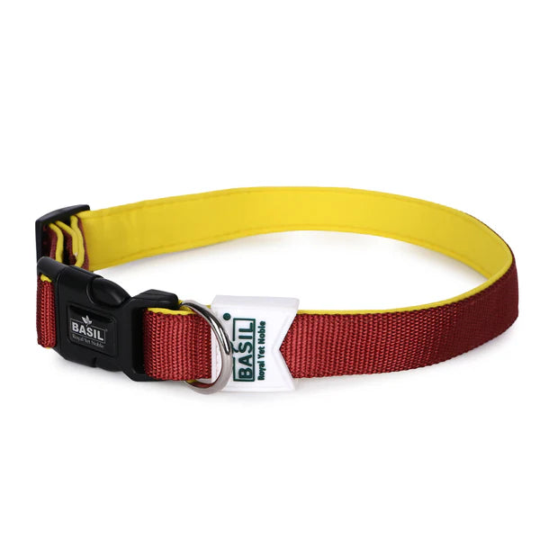 Basil Padded Adjustable Collar for Puppy / Dogs - Maroon