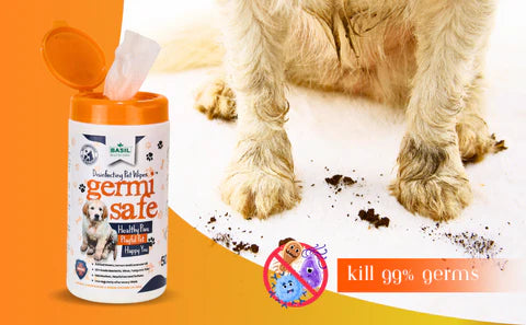 Basil Germisafe Pet Wipes for Dogs, 50 Wipes with Added Neem, Lemon and Lavender Oil for Dogs & Cats