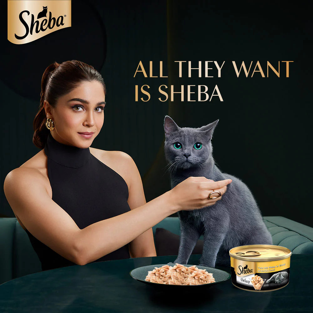 Sheba Premium Wet Food Gravy Tin For Cats - Tuna And prawn In Gravy