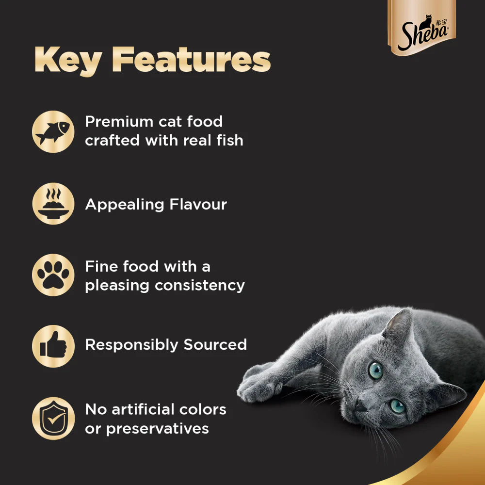 Sheba Premium Wet Food Gravy Tin For Cats - Tuna And prawn In Gravy