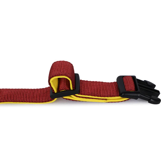 Basil Padded Adjustable Collar for Puppy / Dogs - Maroon
