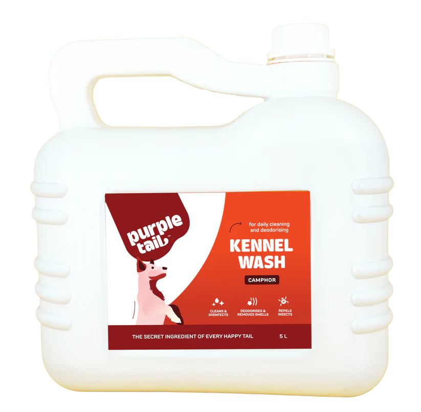 Purple Tail Kennel Wash Hygiene Floor Cleaner for Pets Home (Dogs & Cats) - Camphor