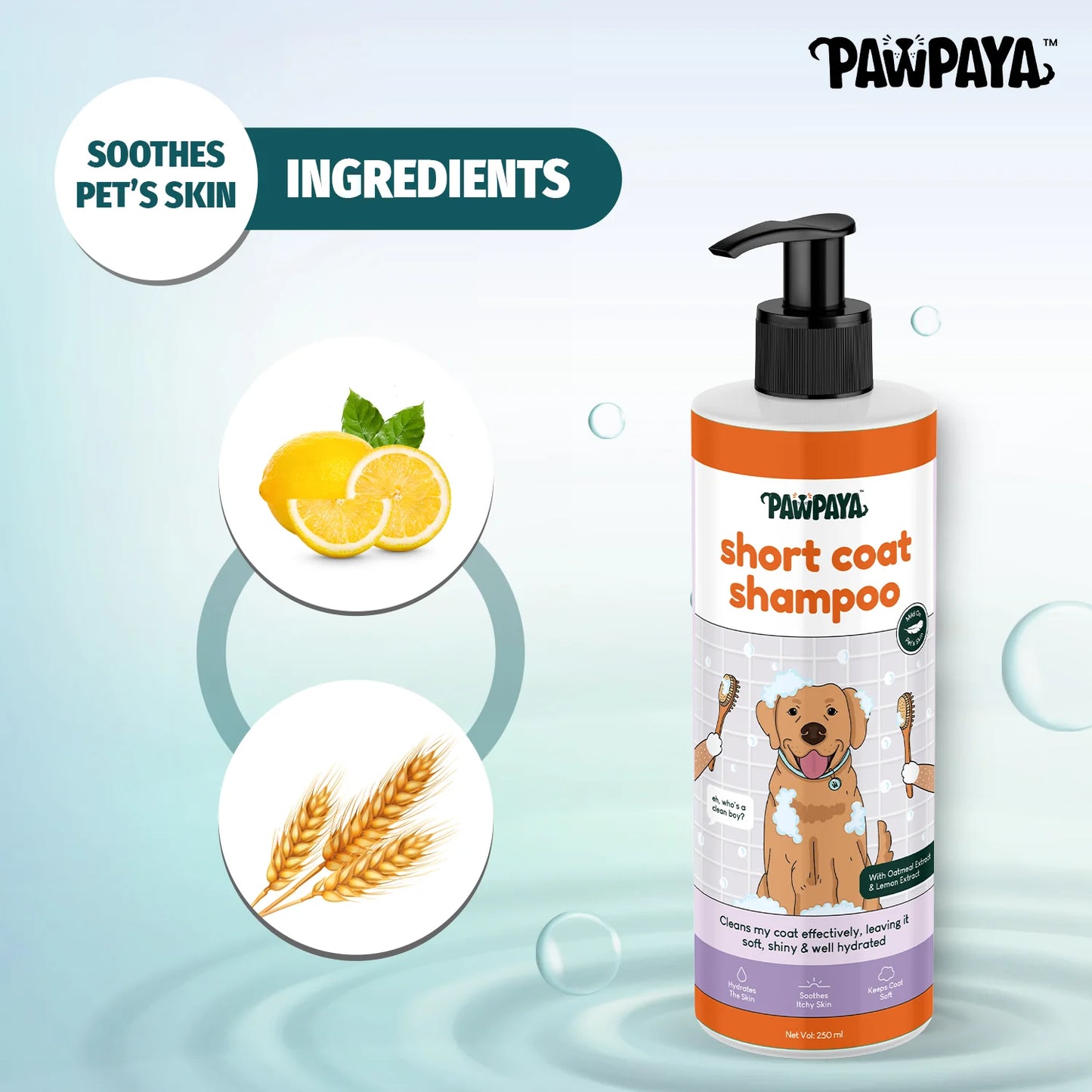 Pawpaya Short Coat Shampoo for Dogs 250 ml