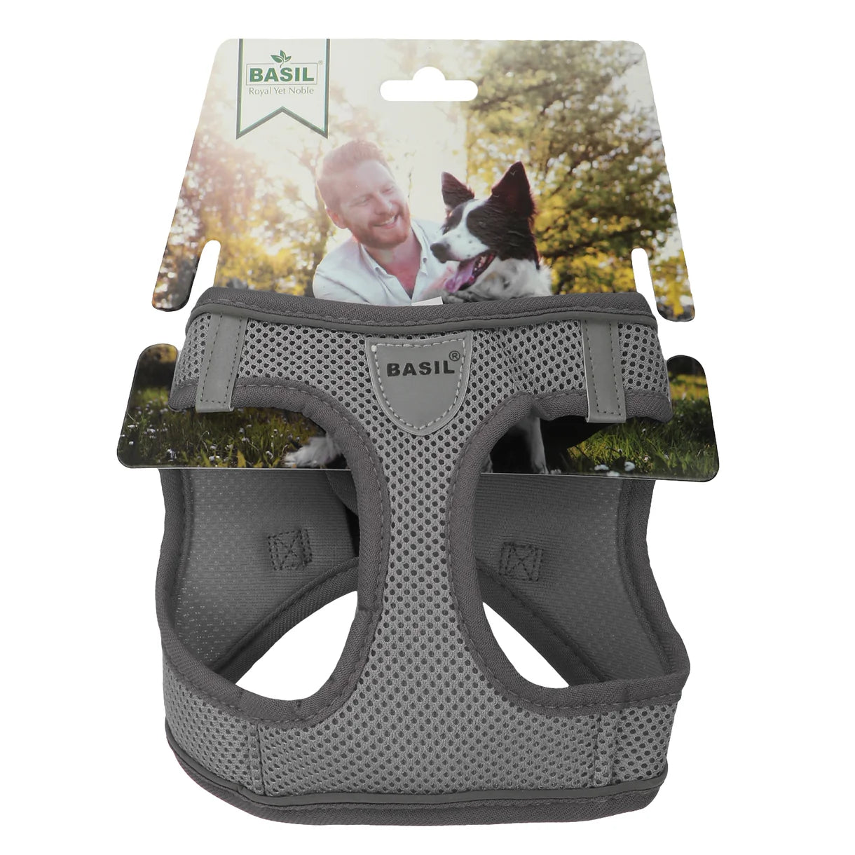 Basil Soft Adjustable Mesh Harness / Body Belt for Puppies & Small Breed Dogs (Grey)