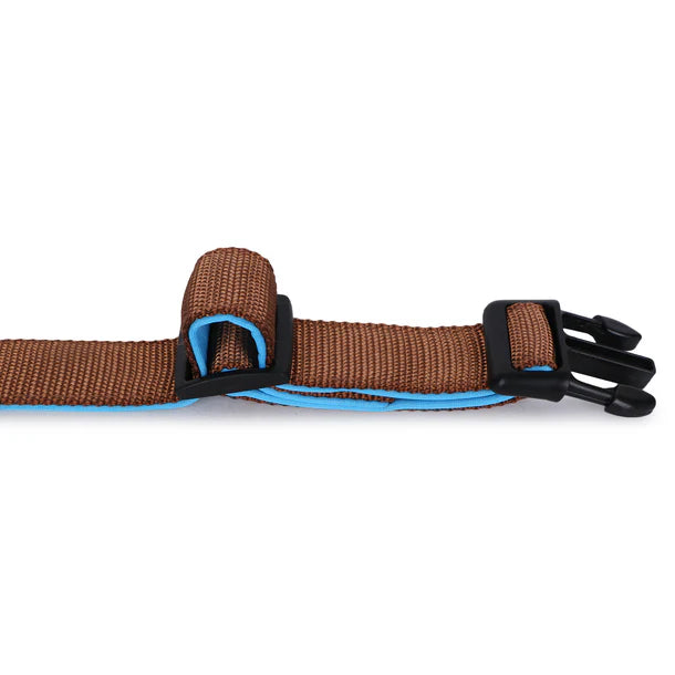 Basil Padded Adjustable Collar for Puppy / Dogs - Brown