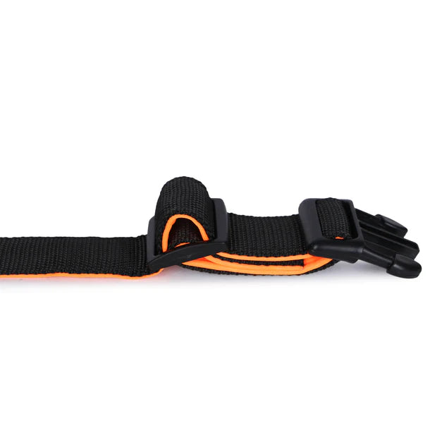 Basil Padded Adjustable Collar for Puppy / Dogs - Black