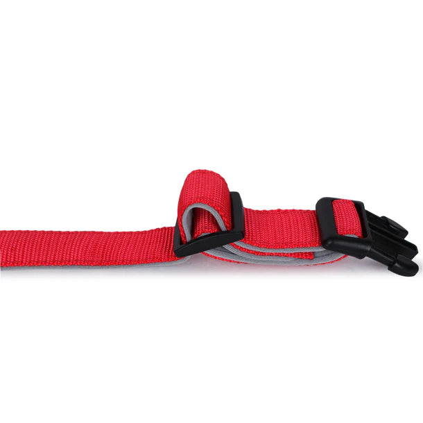 Basil Padded Adjustable Collar for Puppy / Dogs - Red