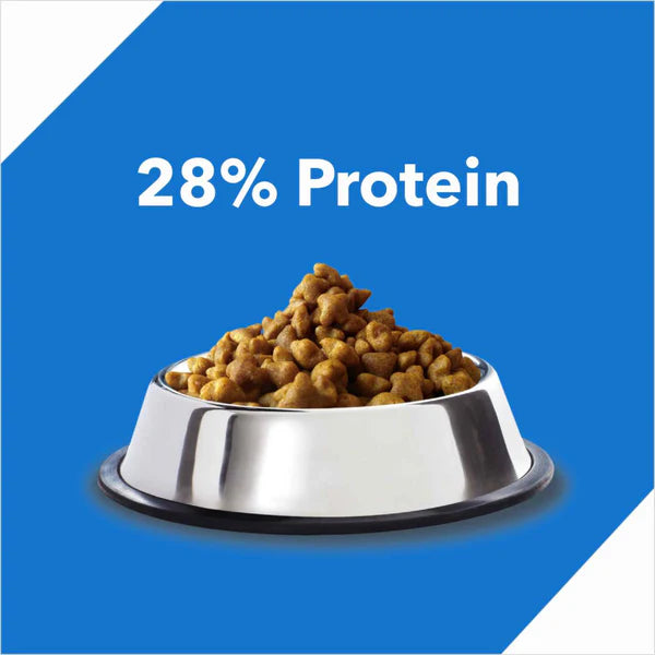 Drools Dry Food for Adult Cats - Mackerel
