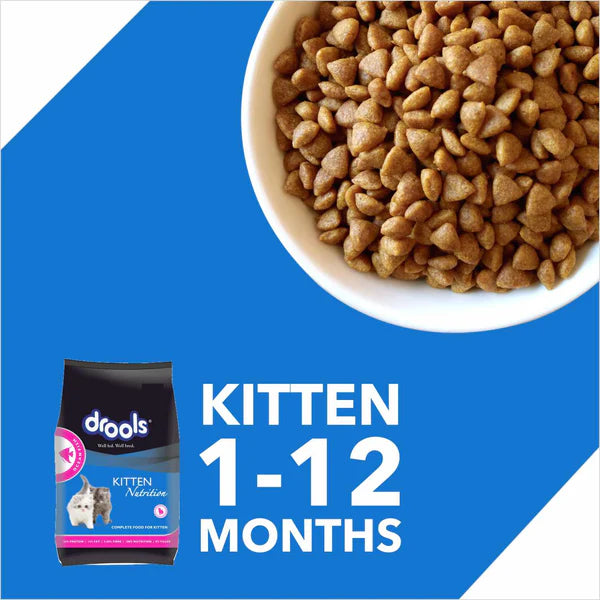 Drools Dry Food for Kittens - Ocean Fish