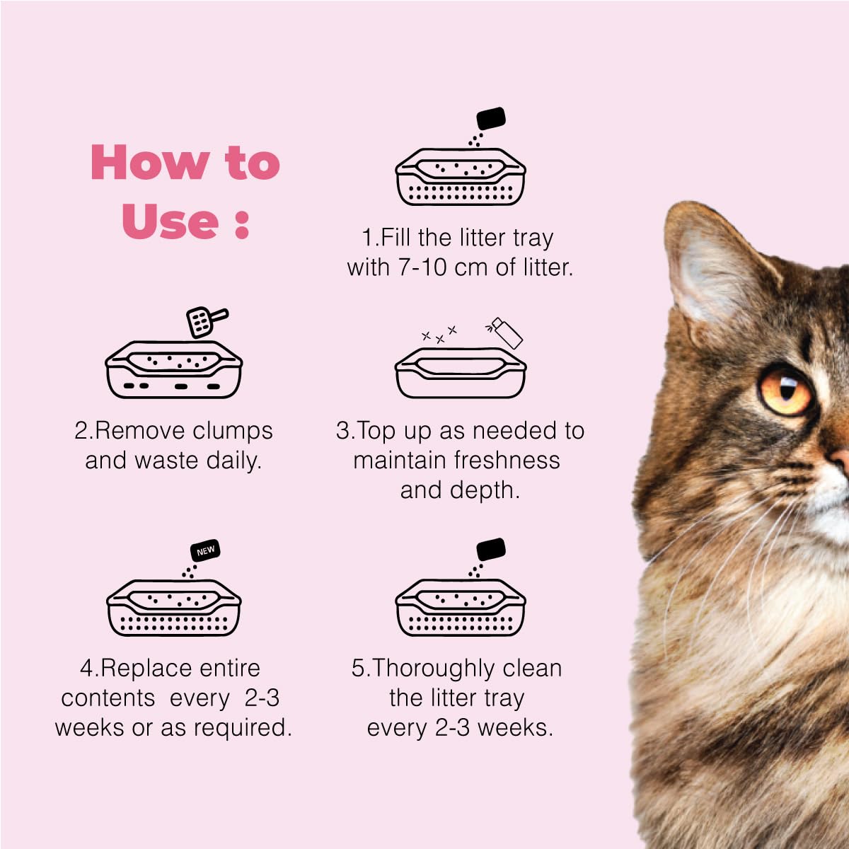 Cat Exclusive Scented Scoopable Cat Litter - Baby Powder
