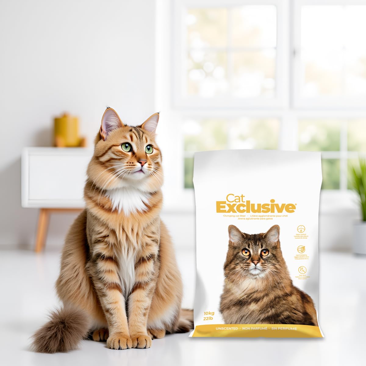 Cat Exclusive Unscented Scoopable Cat Litter