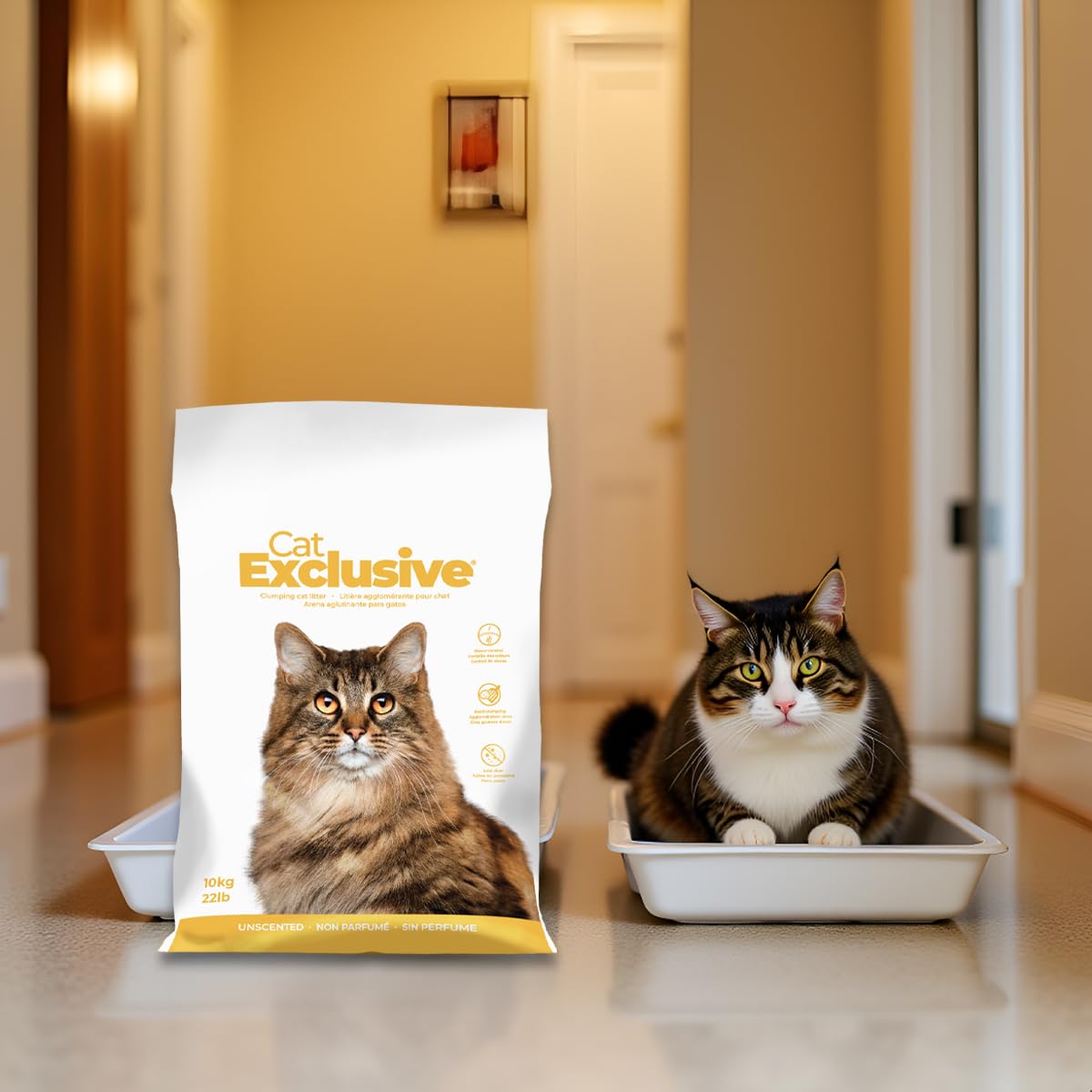 Cat Exclusive Unscented Scoopable Cat Litter