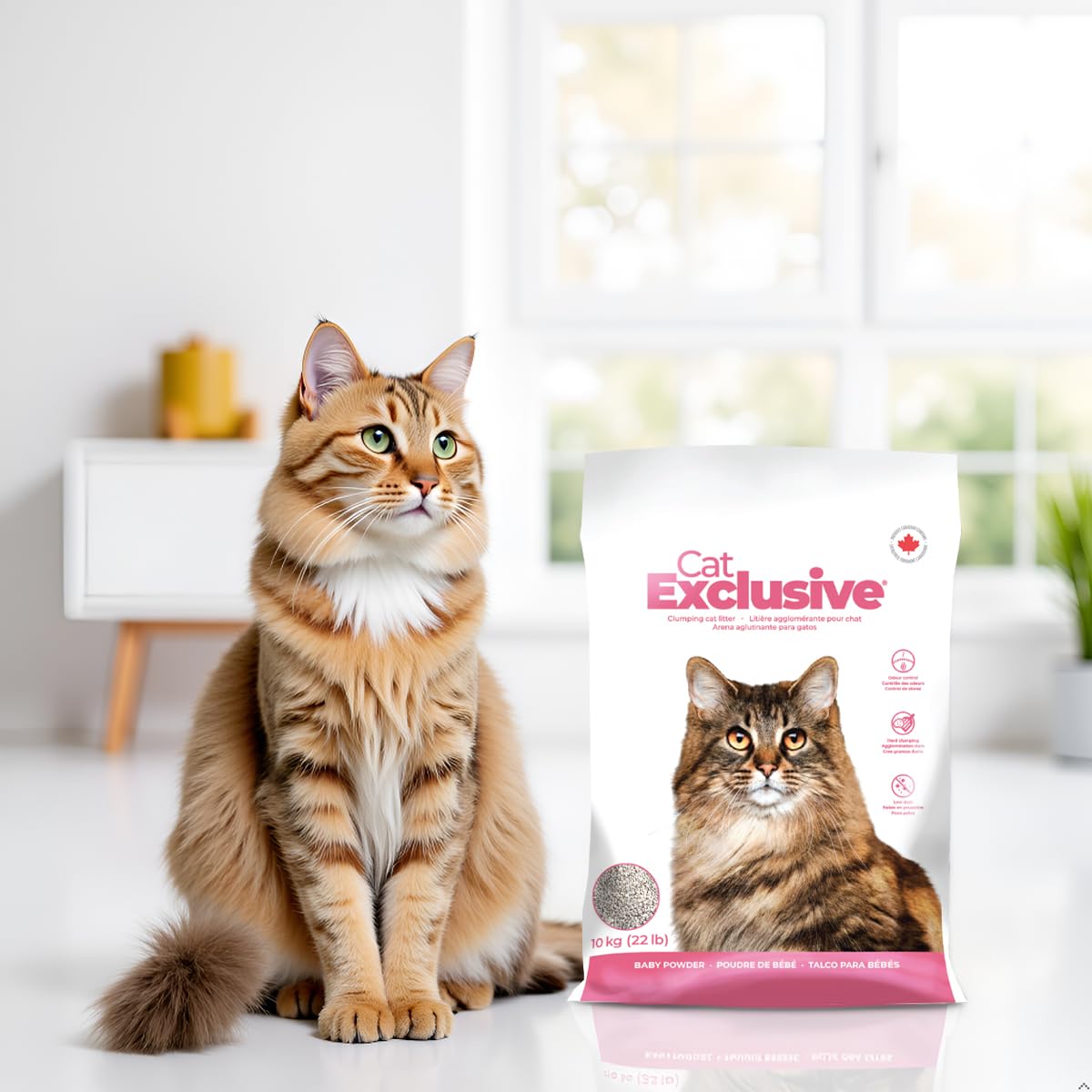 Cat Exclusive Scented Scoopable Cat Litter - Baby Powder