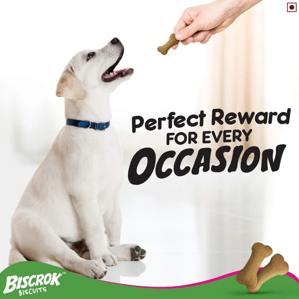 Pedigree Biscrok Biscuits For Dogs 500 gm - Milk & Chicken