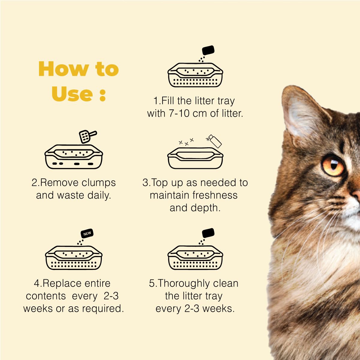 Cat Exclusive Unscented Scoopable Cat Litter