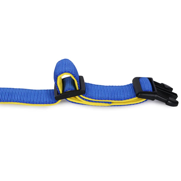 Basil Padded Adjustable Collar for Puppy / Dogs - Blue