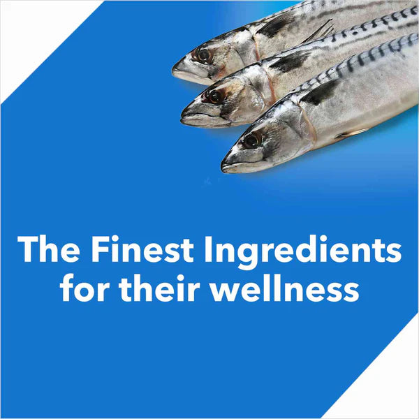 Drools Dry Food for Adult Cats - Ocean Fish