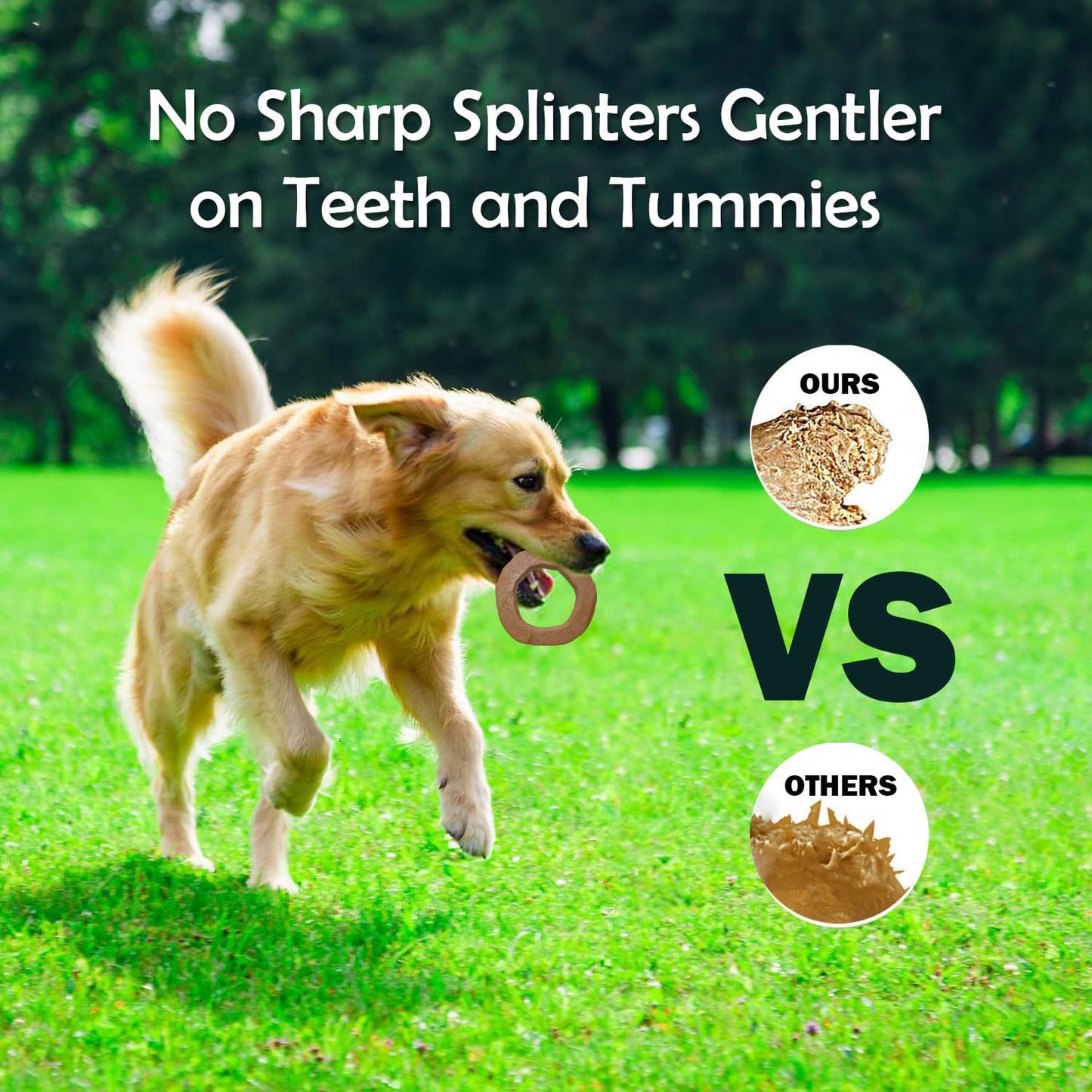 Plushmate x Petaholic Durable Nylon Hard Chew Toy & Treat Dispenser for Medium and Large Breed Dogs - Chew Ring