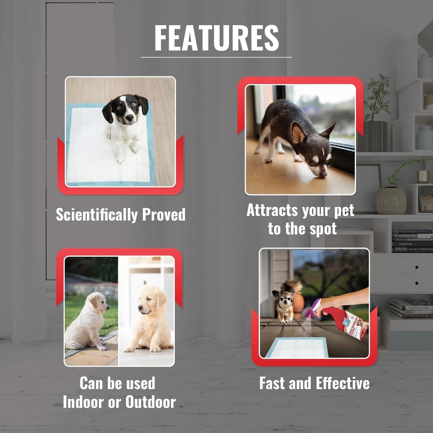 Out! House Training Aid Spray for Puppies - 500 ml