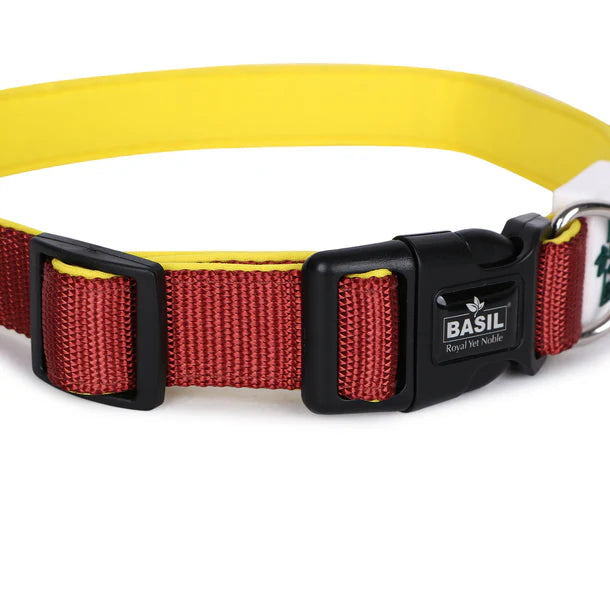 Basil Padded Adjustable Collar for Puppy / Dogs - Maroon