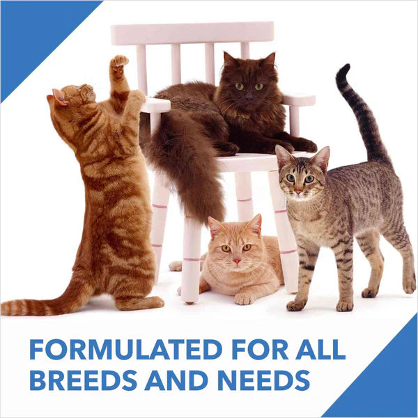 Drools Dry Food for Adult Cats - Ocean Fish