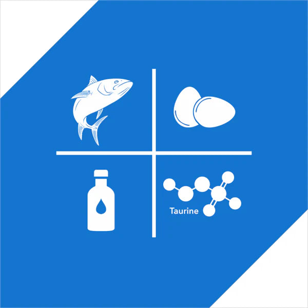 Drools Dry Food for Adult Cats - Ocean Fish