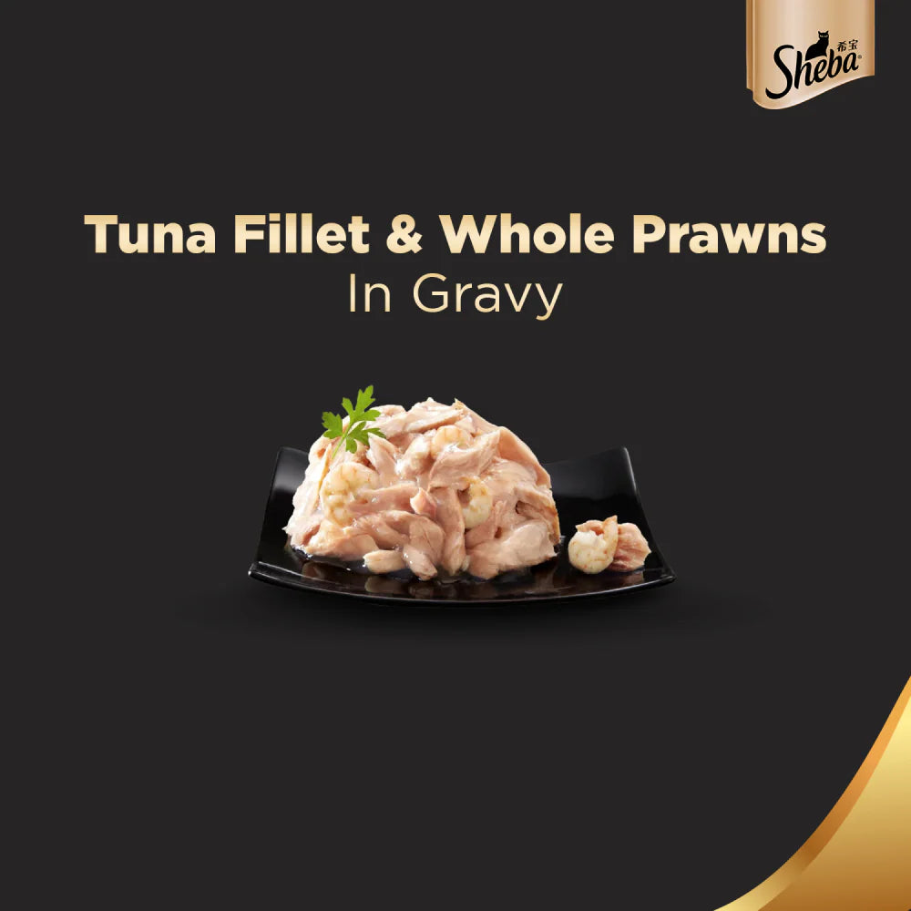 Sheba Premium Wet Food Gravy Tin For Cats - Tuna And prawn In Gravy