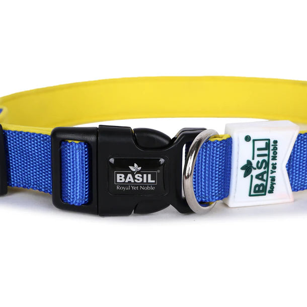 Basil Padded Adjustable Collar for Puppy / Dogs - Blue