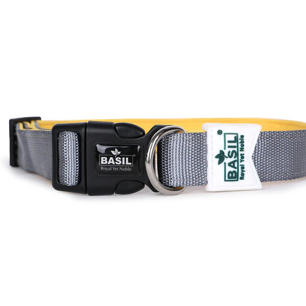Basil Padded Adjustable Collar for Puppy / Dogs - Grey