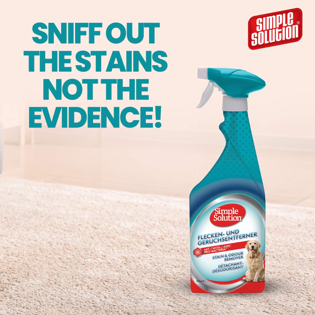 Simple Solution Stain & Odor Remover Spray for Dogs