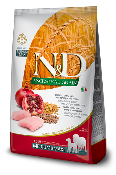 N&D Ancestral Grain Dry Food for Dogs - Maxi Adult