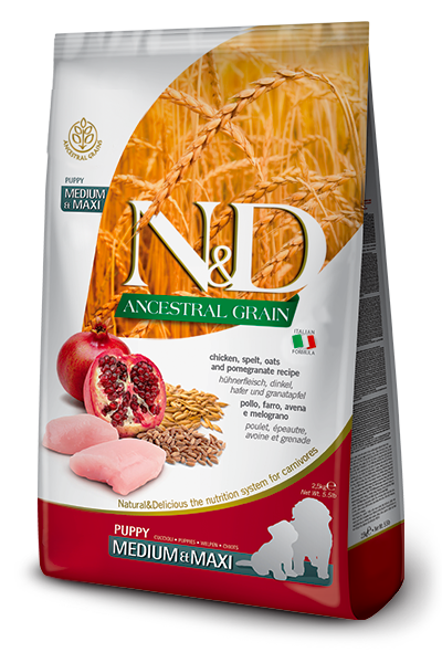 N&D Ancestral Grain Dry Food for Dogs - Maxi Puppy