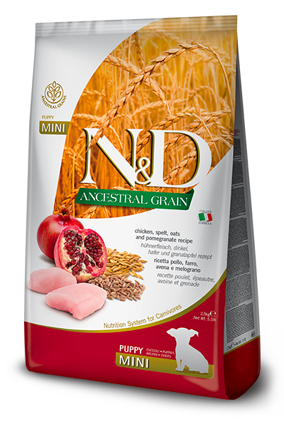 N&D Ancestral Grain Dry Food for Dogs - Mini Puppy