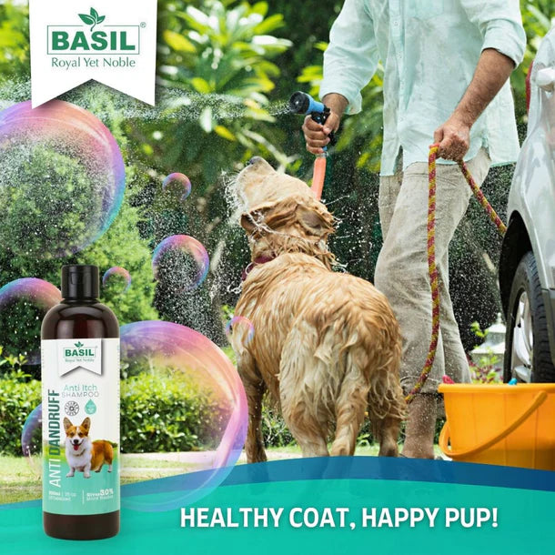 Basil Anti Itch Shampoo For Dogs - Anti Dandruff