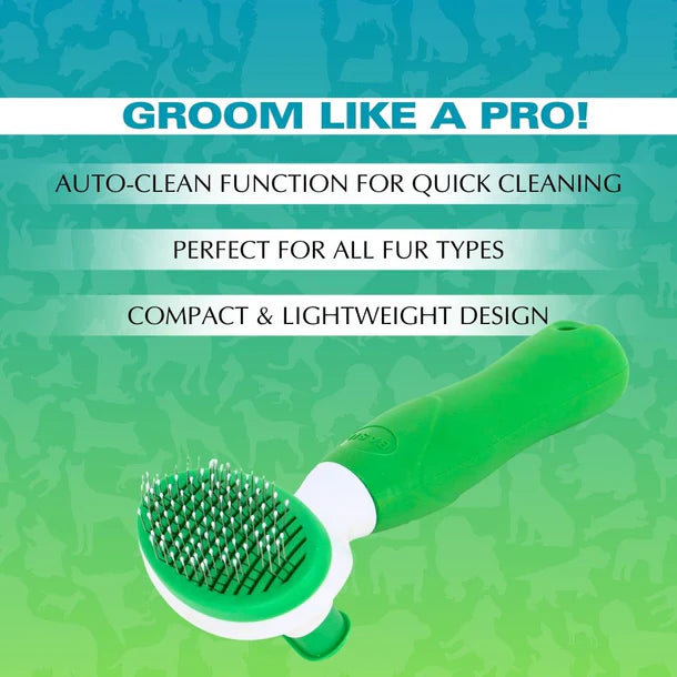 Basil Auto Slicker Brush & Comb for All Pet Breeds